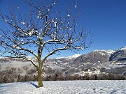 Panorami con le prime nevi da Miragolo S. Salvatore di Zogno il 3 dicenmbre 2020- FOTOGALLERY